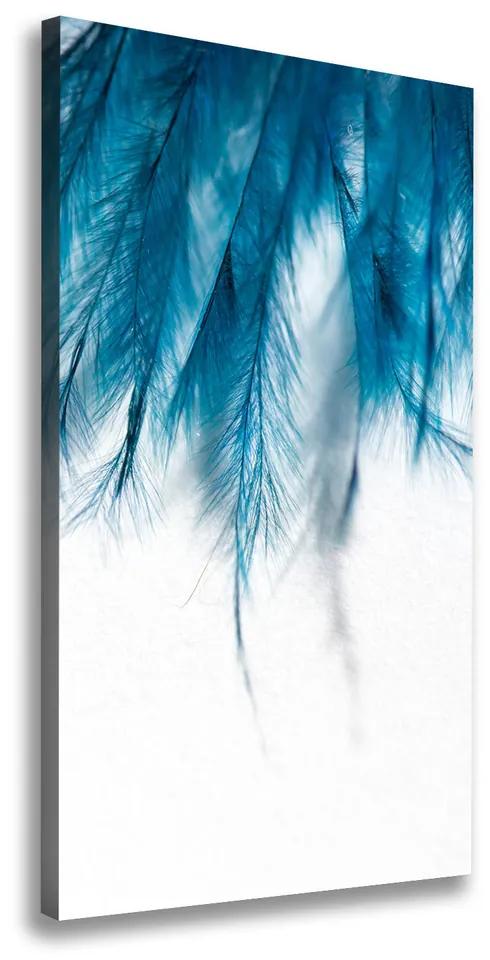 Tablou pe pânză canvas Pene albastre