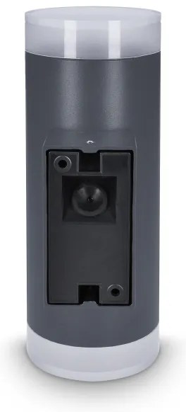 Aplică de exterior Brilagi MATERA 2xGU10/30W/230V antracit IP54