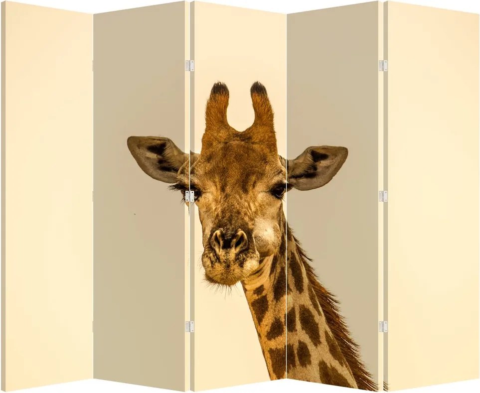 Paravan - Girafe (210x170 cm)