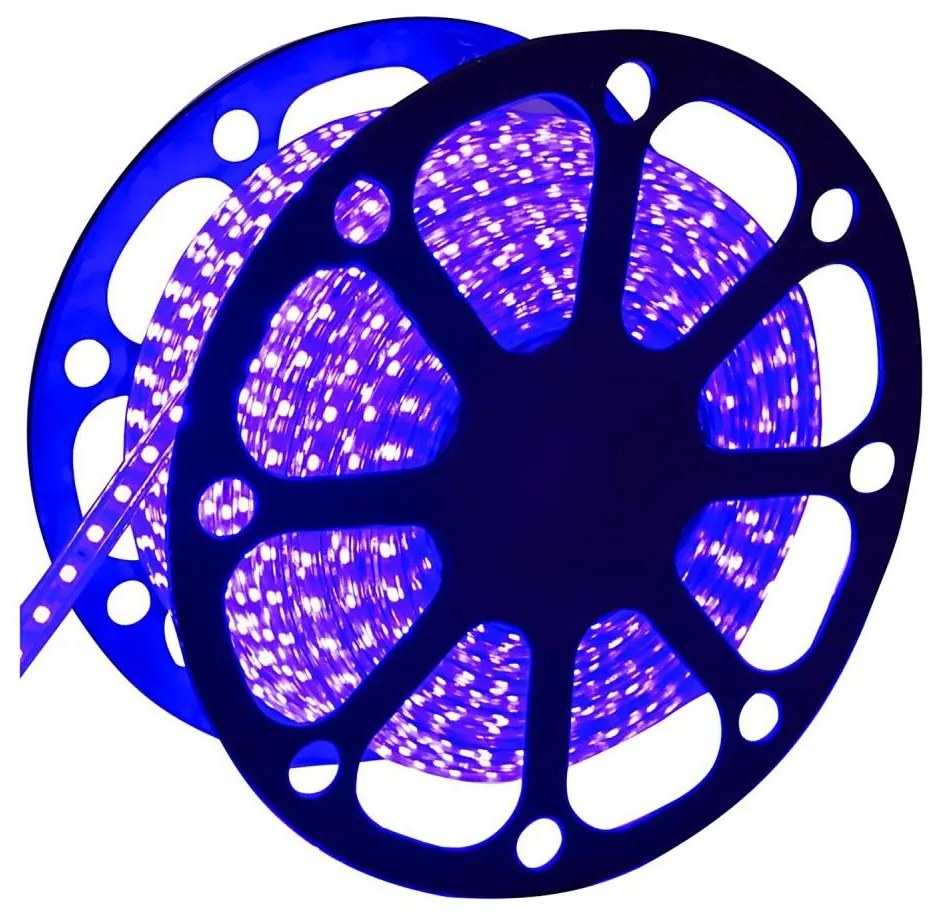 Aigostar - Bandă LED pentru exterior 50m LED/300W/230V albastru IP65