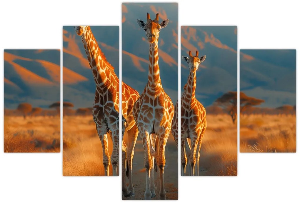 Tablou - Girafe pe pășune (150x105 cm)