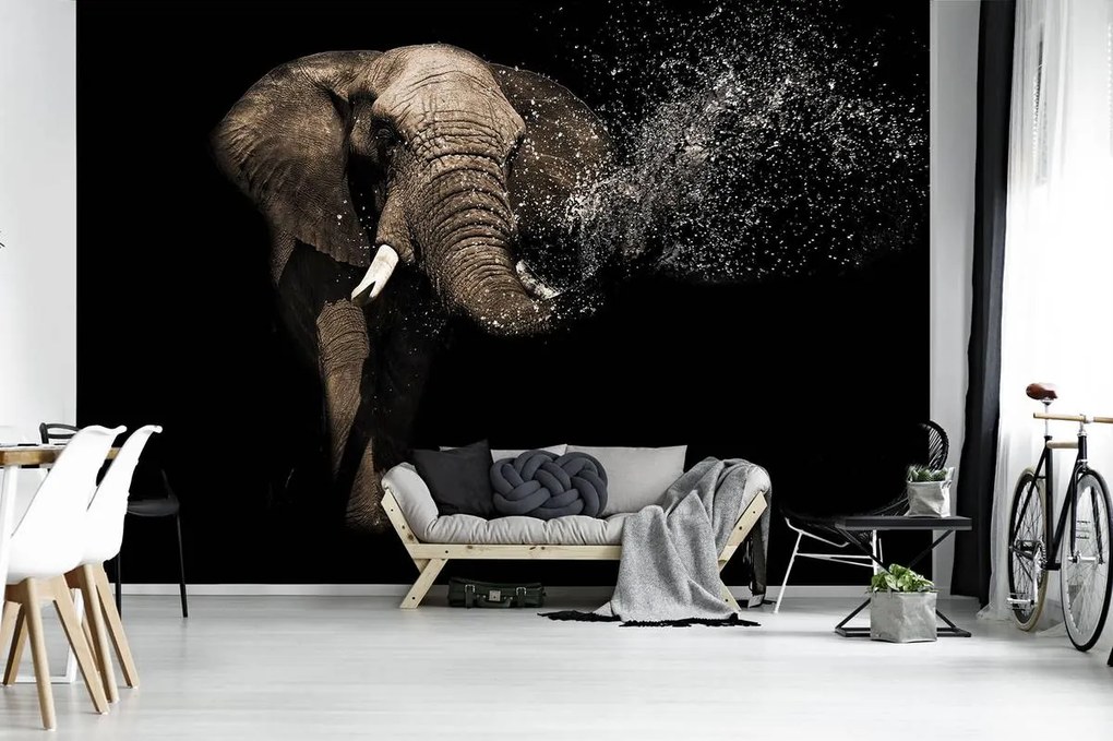Fototapet - Elefant (152,5x104 cm)