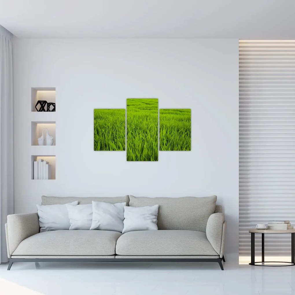 Tablou cu iaraba (90x60 cm)
