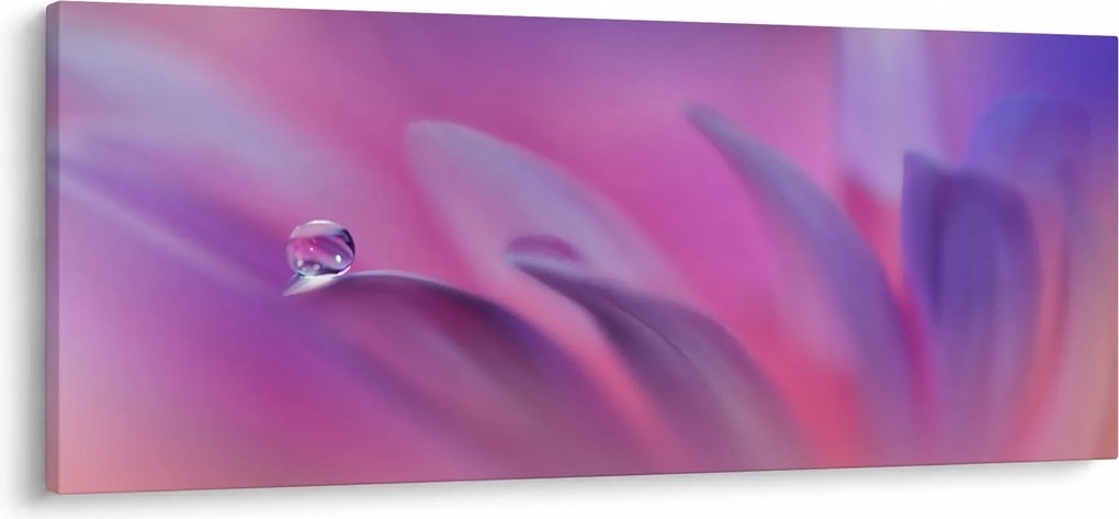 Tablou - Picătură pe floare (120x50 cm)