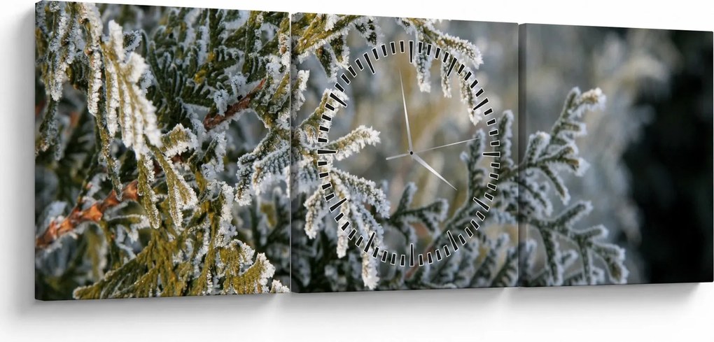 Tablou - Detaliu ramură (cu ceas) (90x30 cm)