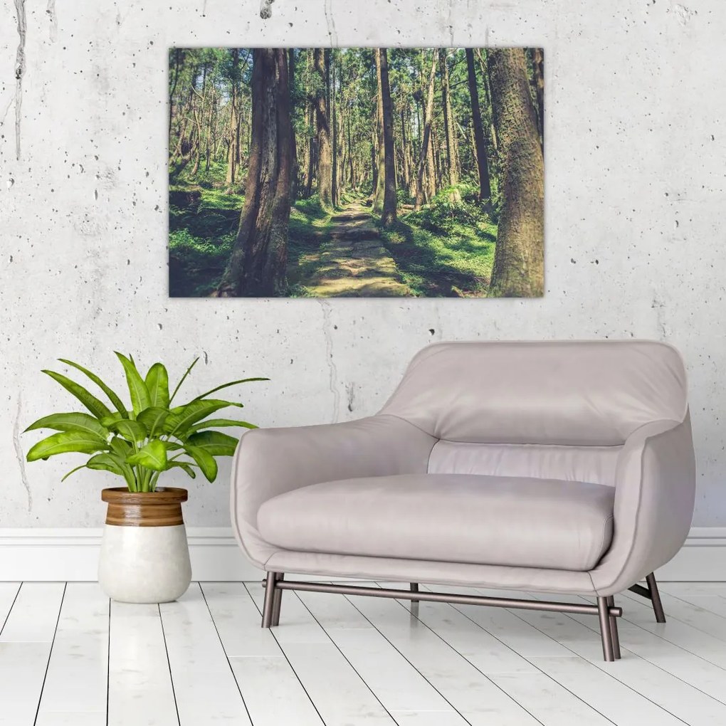 Tablou cu drum între copaci (90x60 cm)
