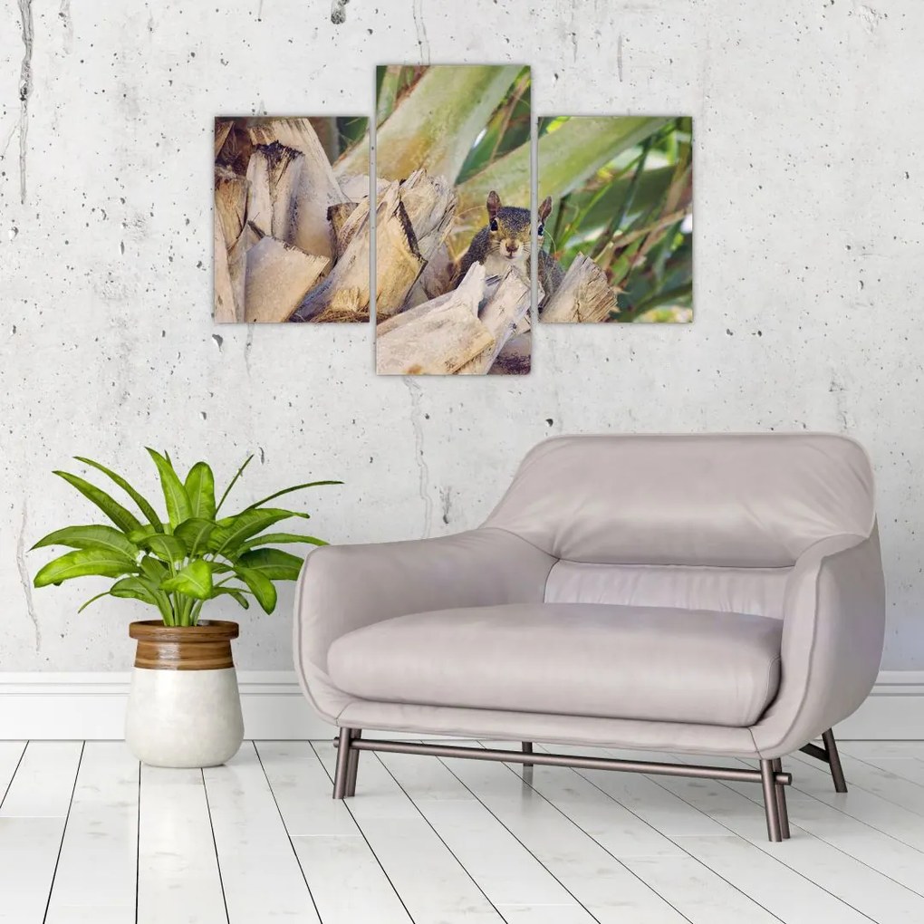 Tablou cu veverița în copaci (90x60 cm)