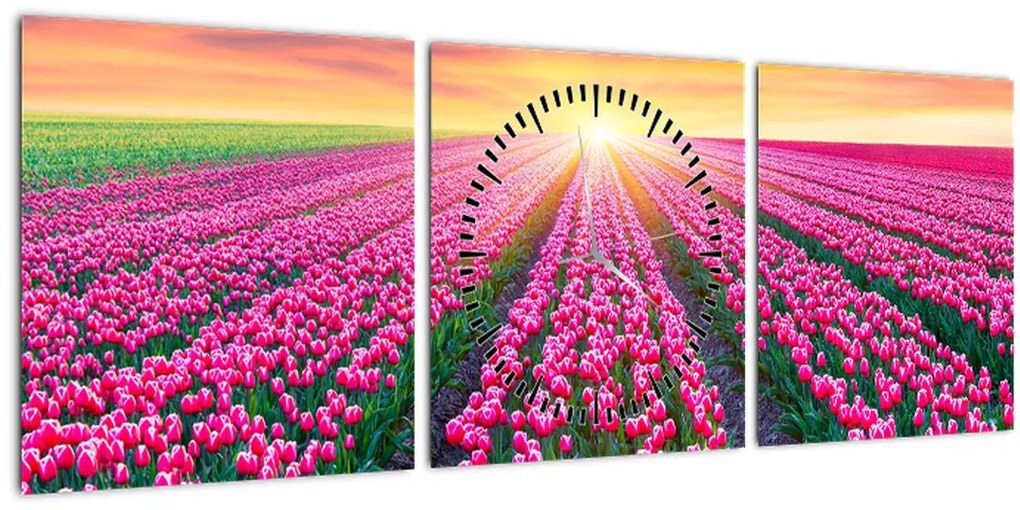 Tablou cu câmp de lalele cu soare (cu ceas) (90x30 cm)