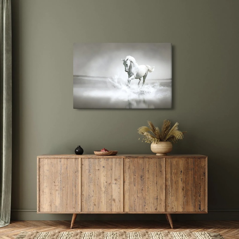 Tablou - Cal alb (90x60 cm)