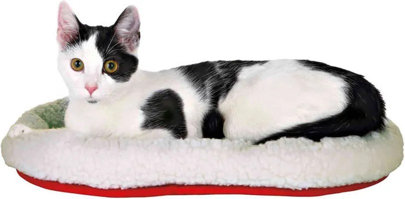 Pat pentru pisică Trixie Alb Roșu 47 × 38 cm