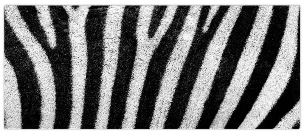 Tablou cu piele de zebră (120x50 cm)