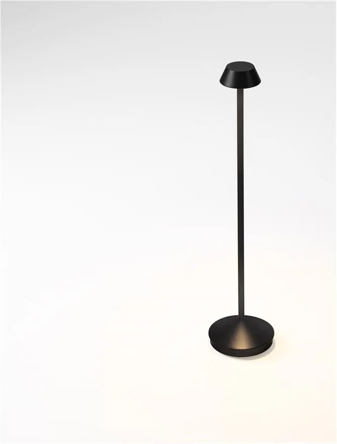 Lampadar/Lampa de podea LED de exterior IP65 ARION negru