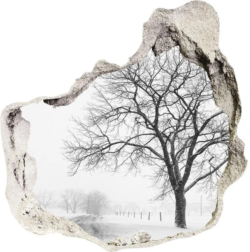 Fototapet 3D gaură în perete Copac în timpul iernii