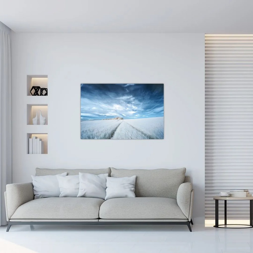 Tablou - Câmp (90x60 cm)