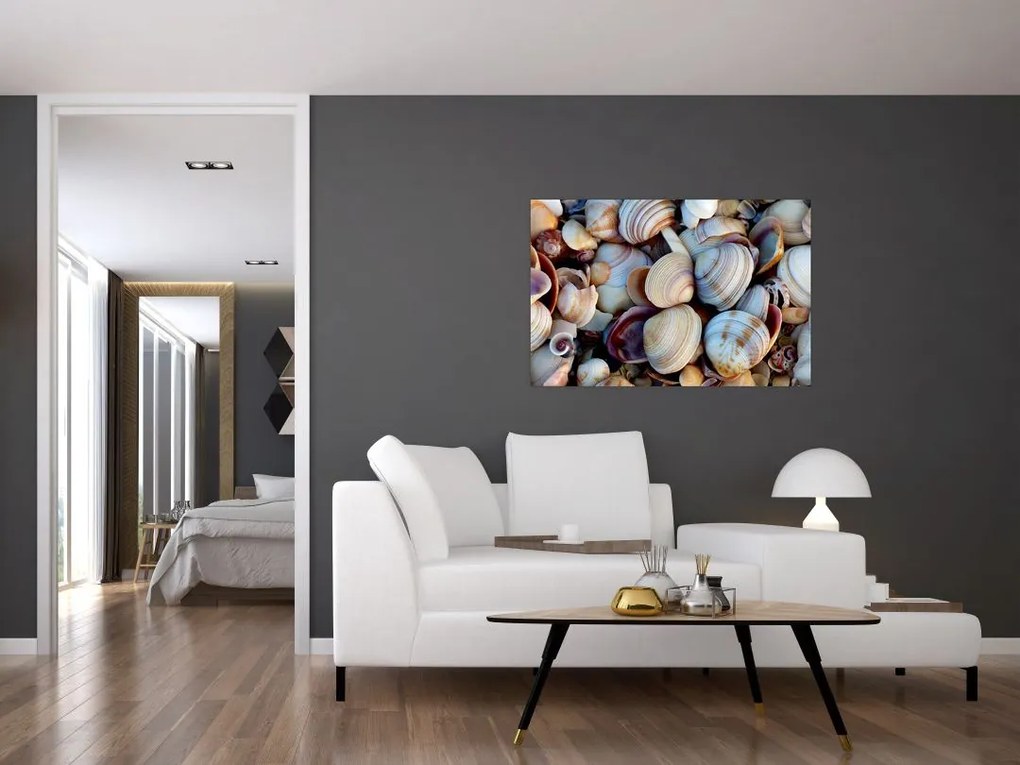 tablou cu scoici (90x60 cm)