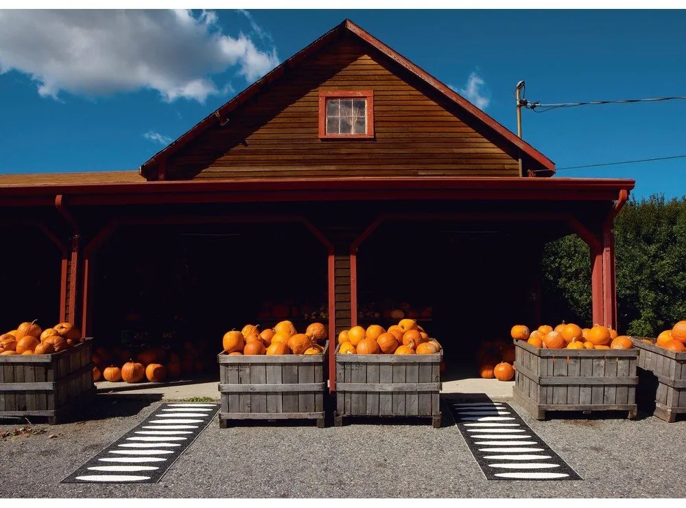 Covor tip traversă pentru interior și exterior negru 70x300 cm Ella Black – Pappelina