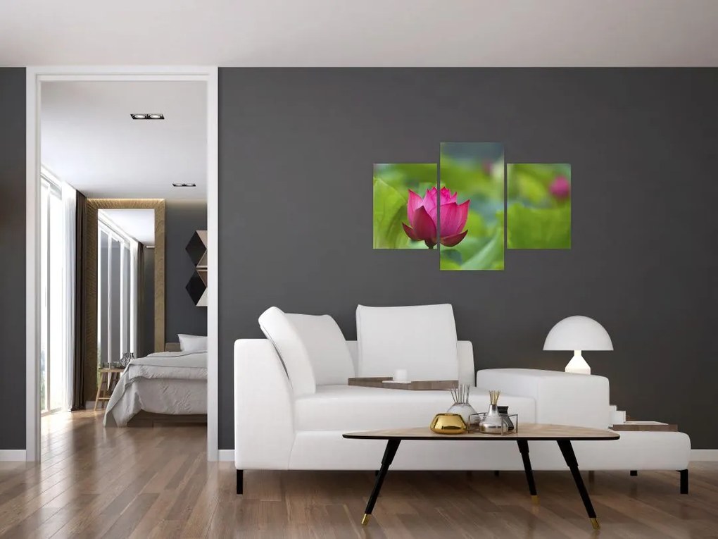 Tablou - floare de apă (90x60 cm)