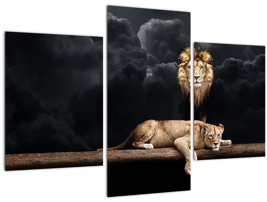 Tablou - Leu și leoaică (90x60 cm)