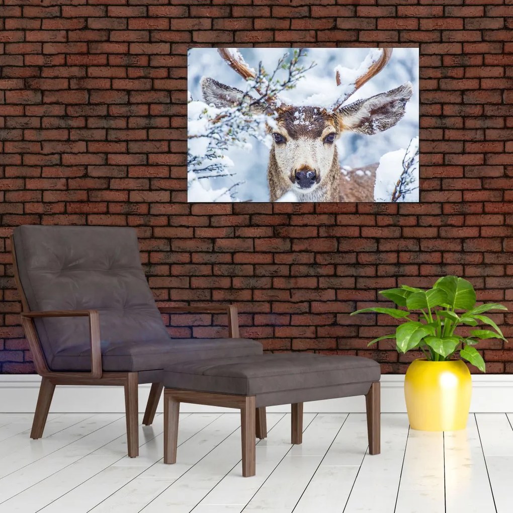 Tablou - Cerbul catâr (90x60 cm)