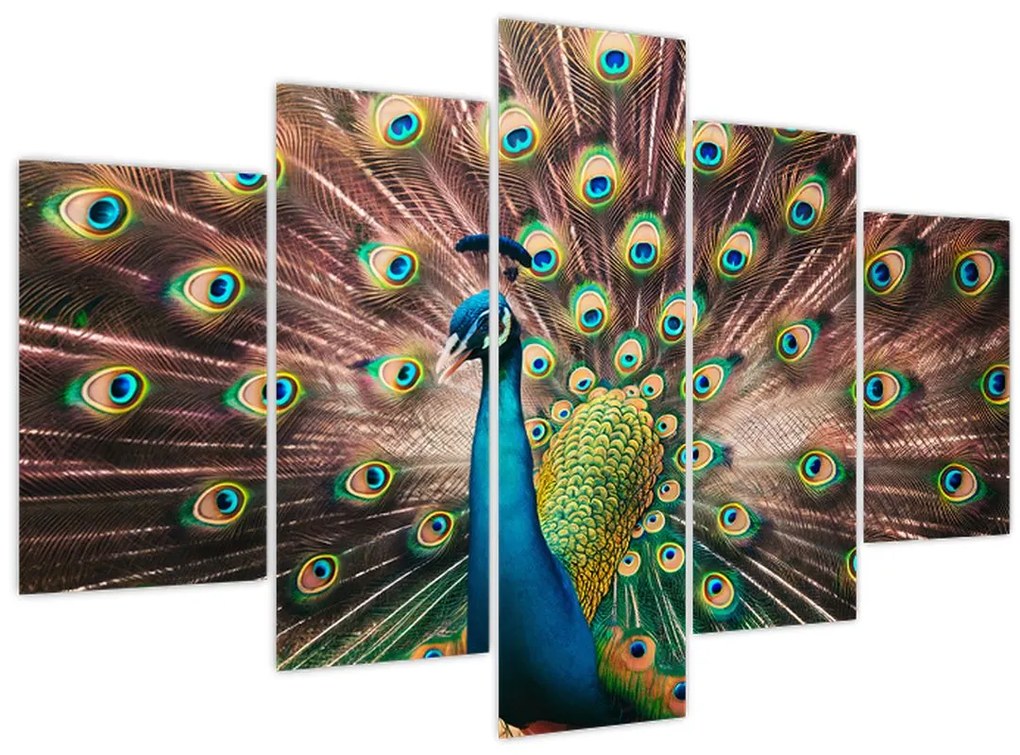 Tablou - Păun (150x105 cm)