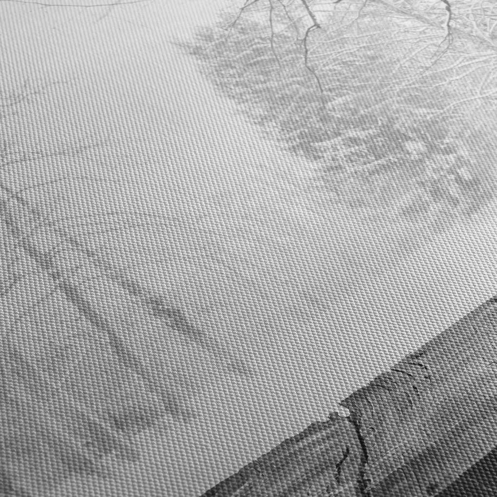 Tablou - Pier de lemn în timpul iernii (90x60 cm)