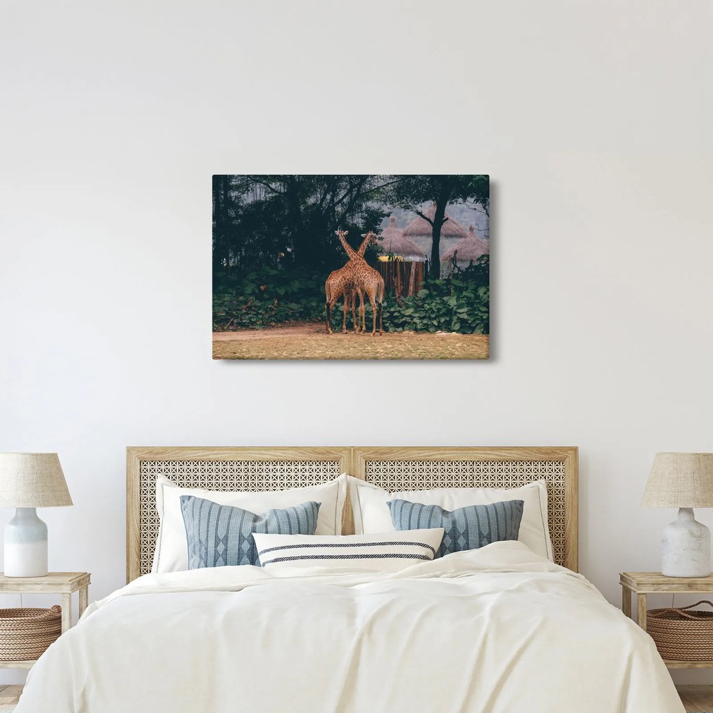 Tablou cu două girafe (90x60 cm)