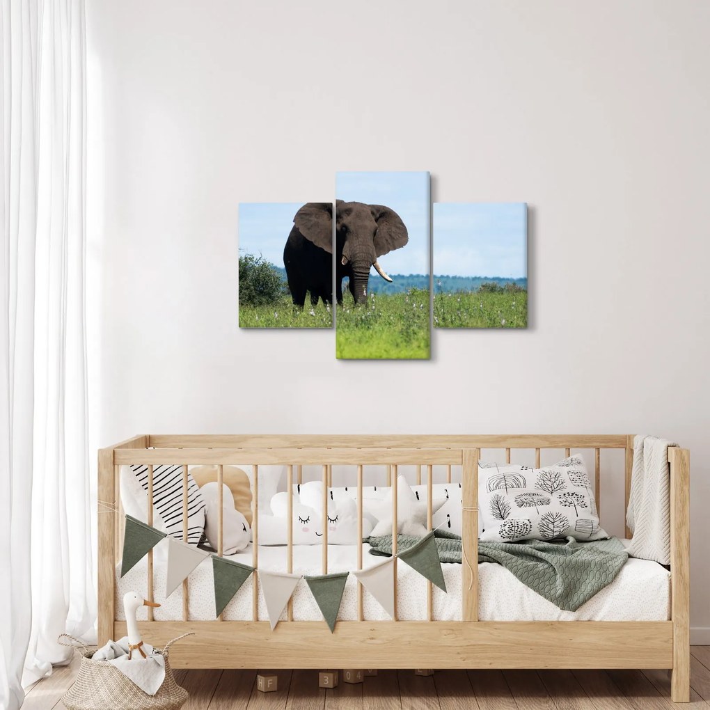 Tablou cu elefant (90x60 cm)