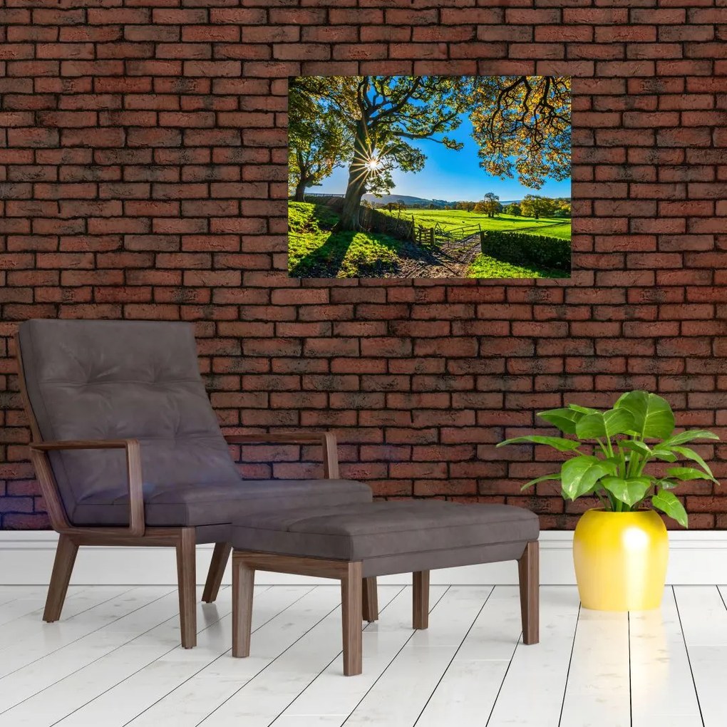 Tablou pe sticlă Privire la câmp (70x50 cm)