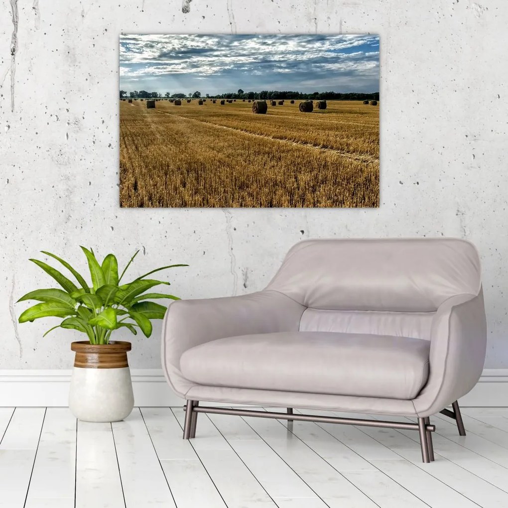 Tablou cu câmp recoltat (90x60 cm)