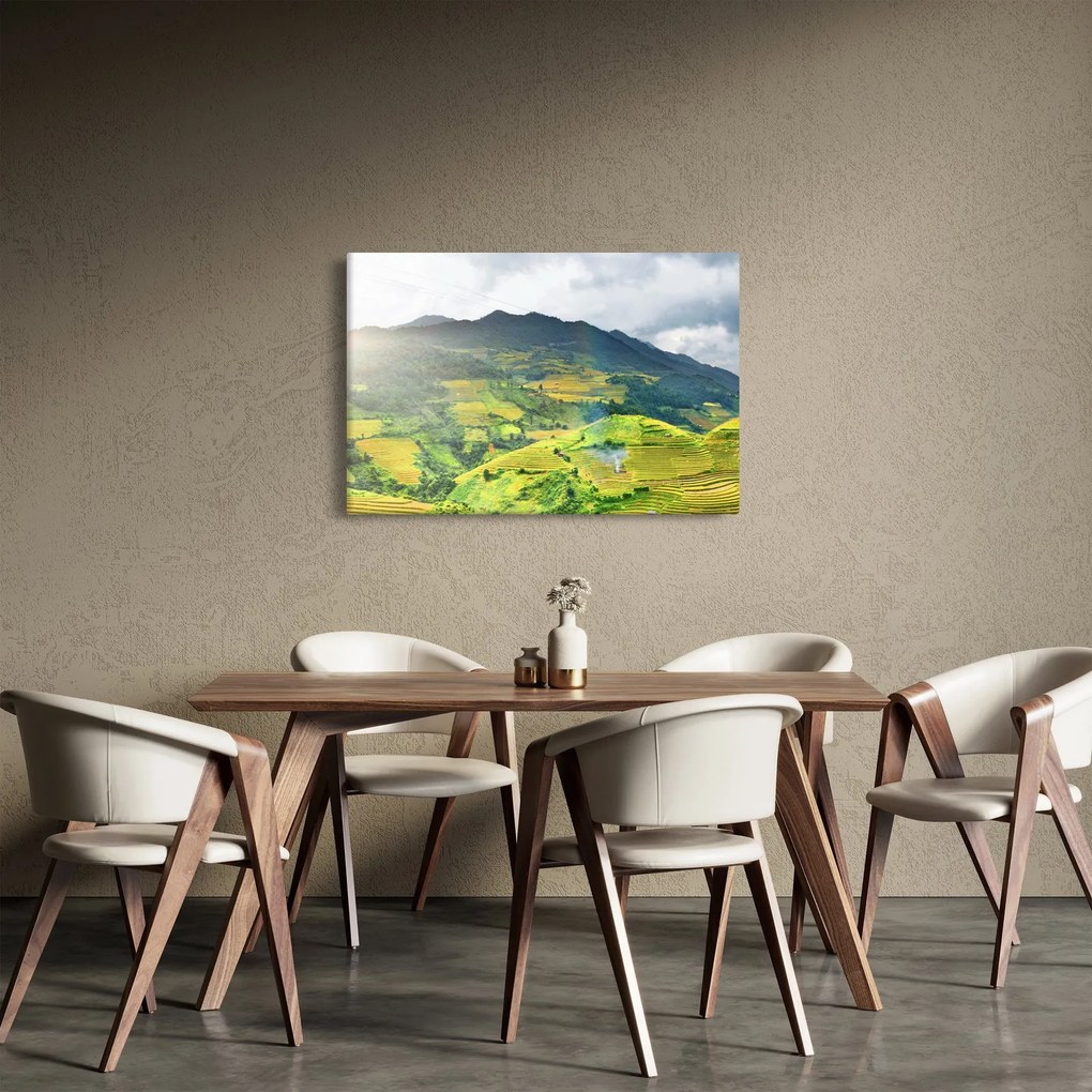 Tablou plantație (90x60 cm)