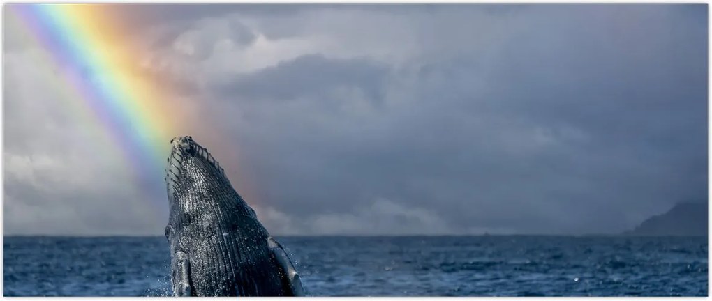 Tablou - Cocoșatul (120x50 cm)