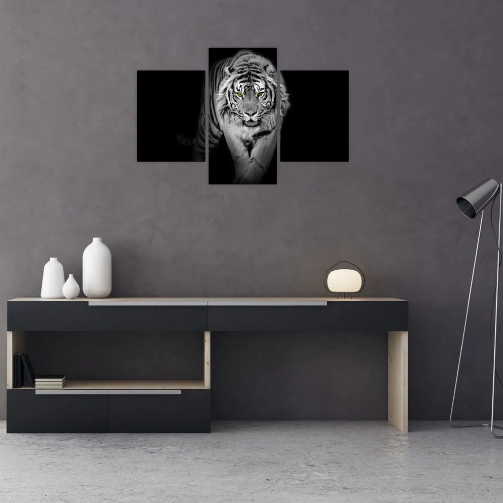 Tablou - Tigru cu ochi galbeni (90x60 cm)