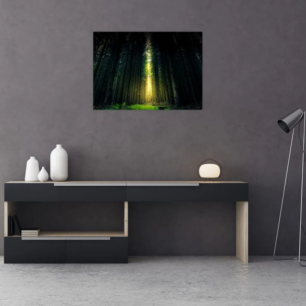 Tablou cu pădurea întunecată (70x50 cm)