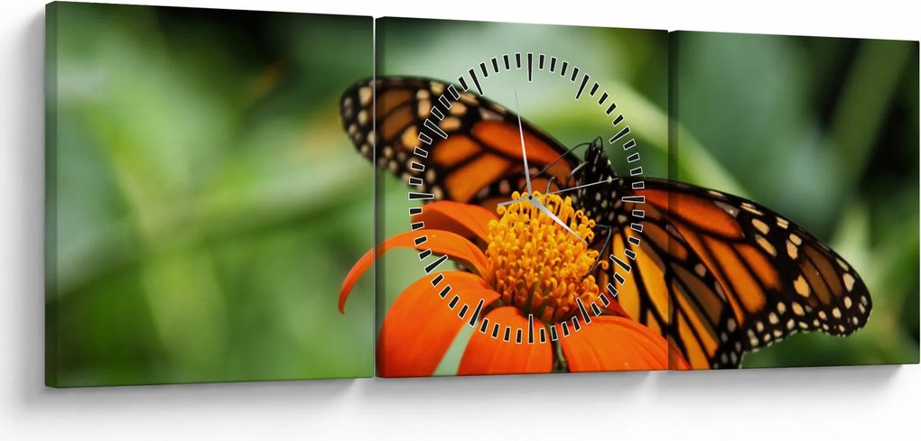 Tablou cu fluture pe floare (cu ceas) (90x30 cm)
