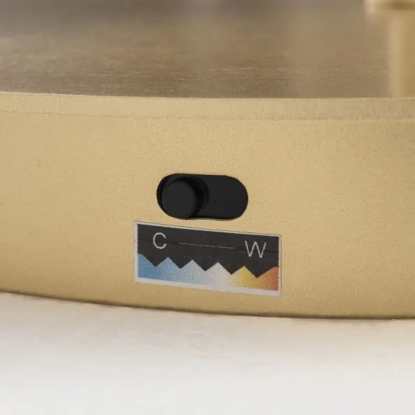 Orion - Lampadar LED dimabil KOLK LED/40W/230V 2700/4000K auriu