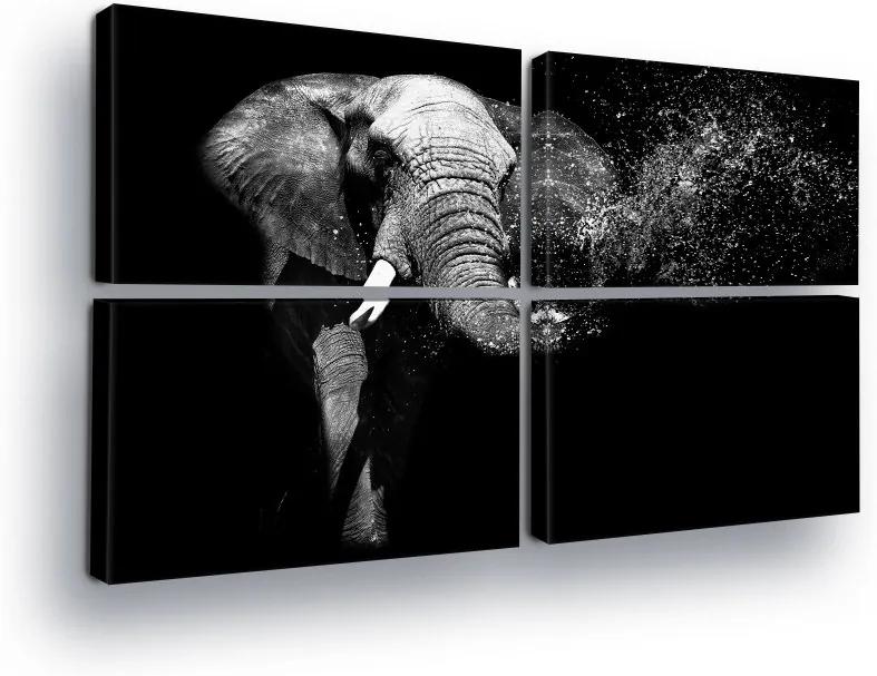 GLIX Tablou - Black and White Elephant 4 x 60x40 cm