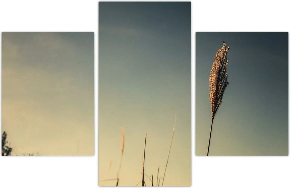 Tablou - Iarba (90x60 cm)