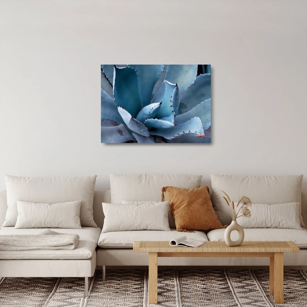 Tablou pe sticlă - Agave (70x50 cm)