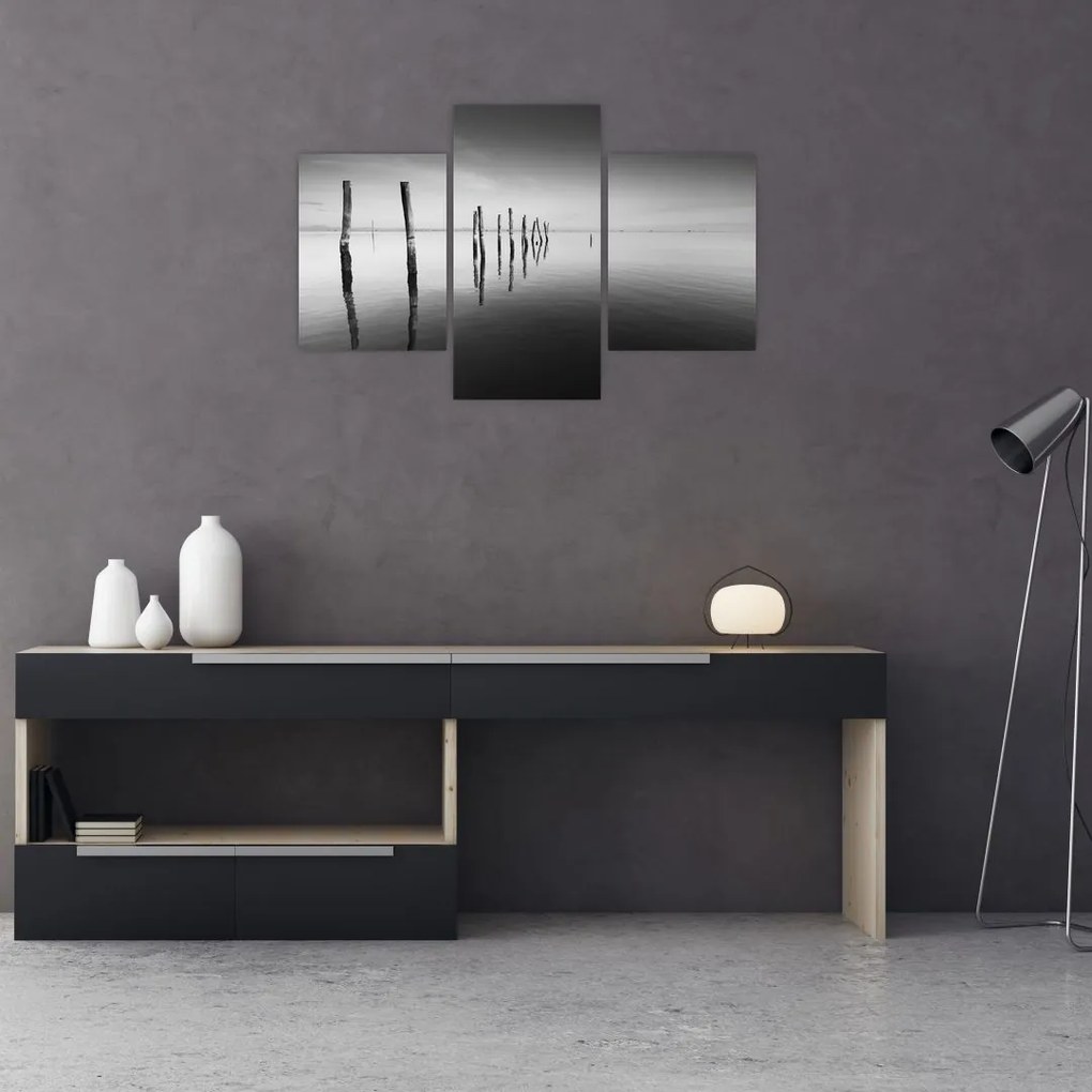 Tablou cu nivelul de lac alb negru (90x60 cm)