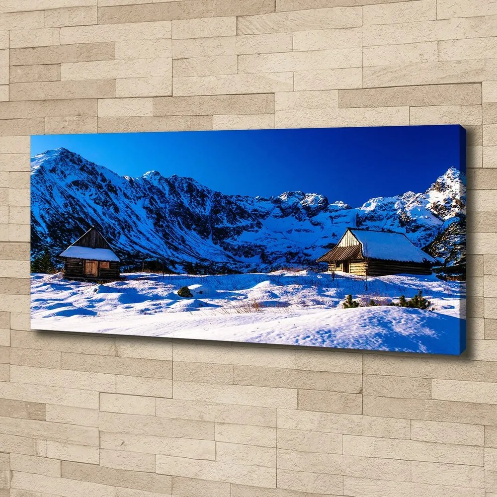 Tablou pe pânză canvas Case în munții tatra