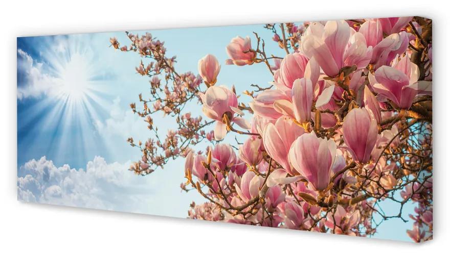 Tablouri canvas Magnolia cer soare