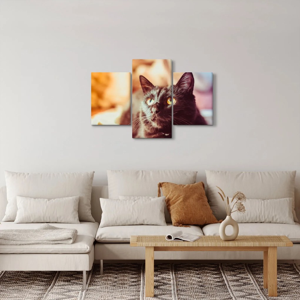 Tablou pisica neagră (90x60 cm)