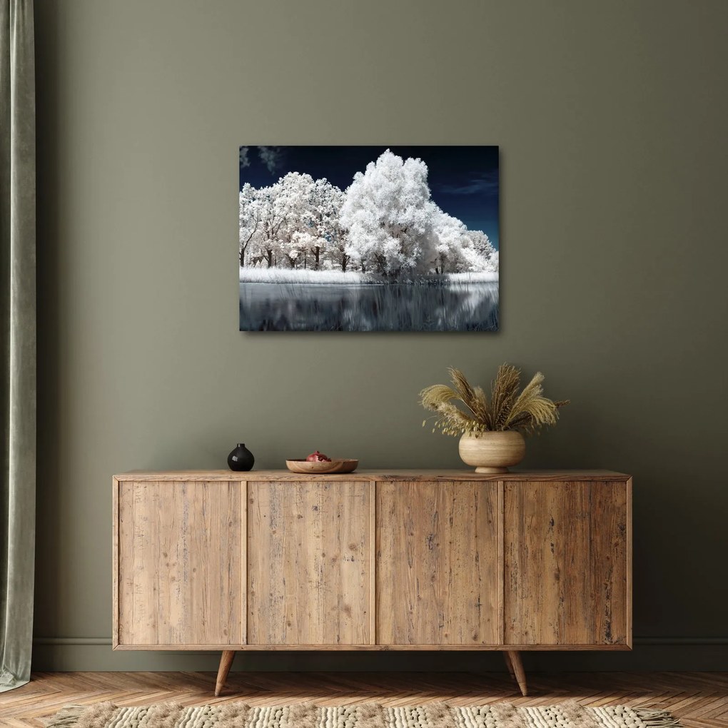 Tablou - Albă ca Zăpada Albă ca Zăpada Copaci (70x50 cm)