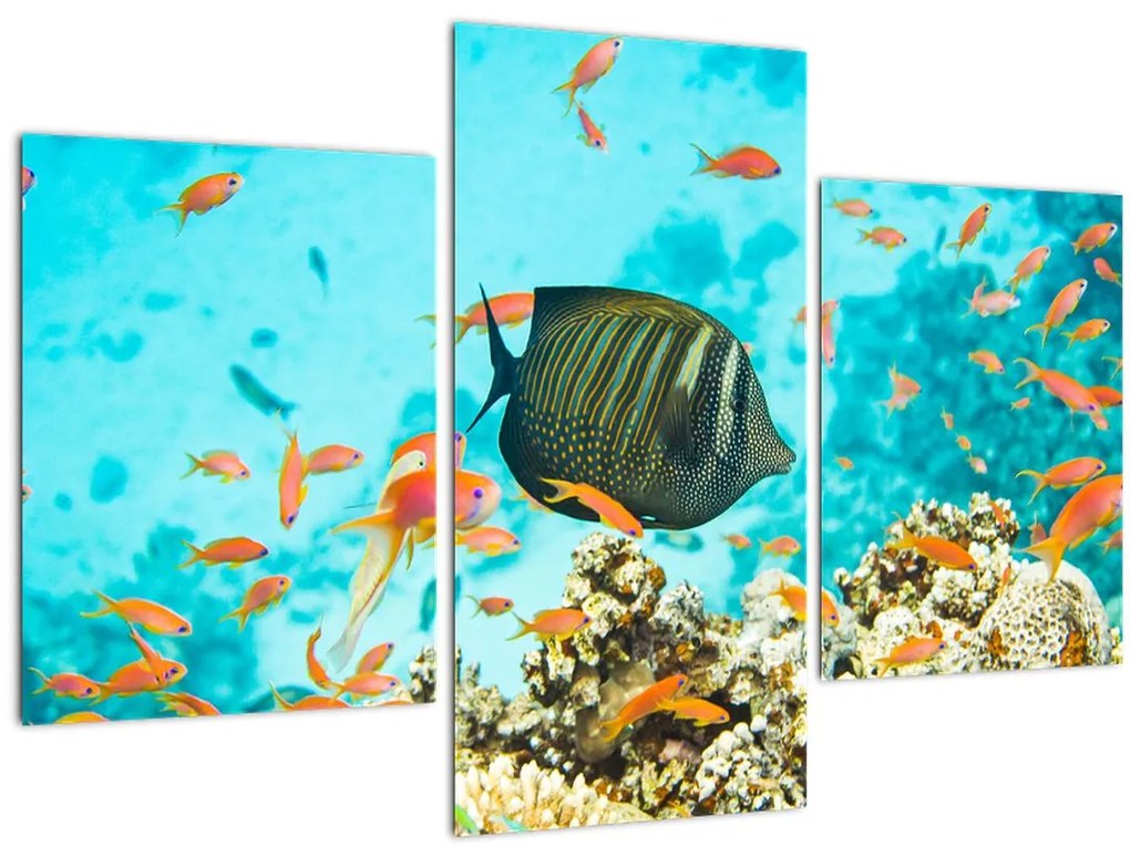 Tablou lumii submarine (90x60 cm)