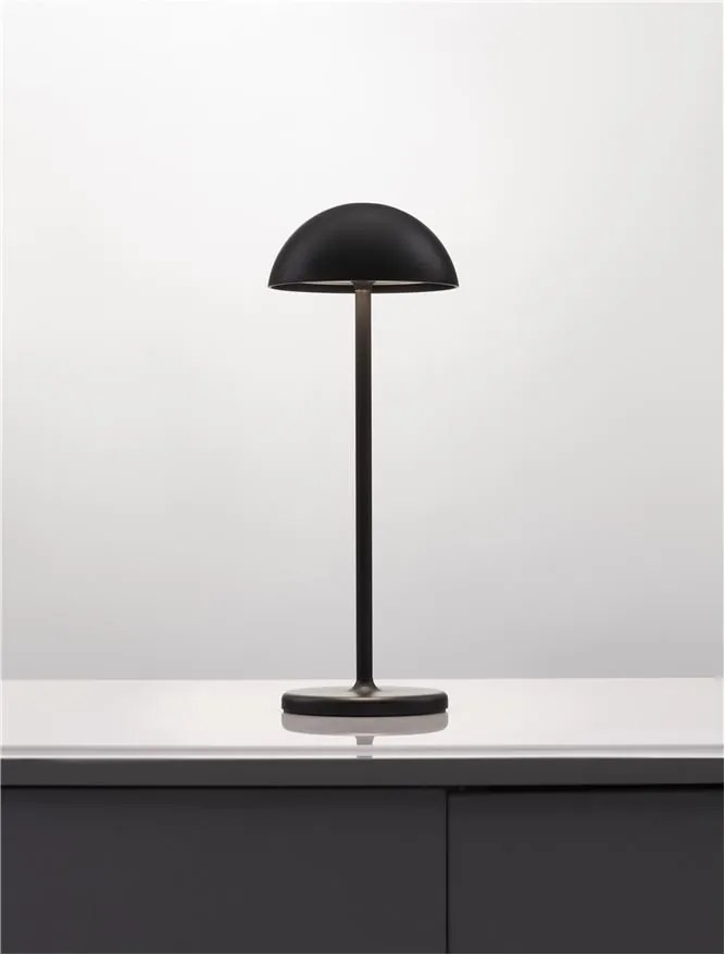 Lampa LED portabila iluminat exterior decorativ ROSE negru