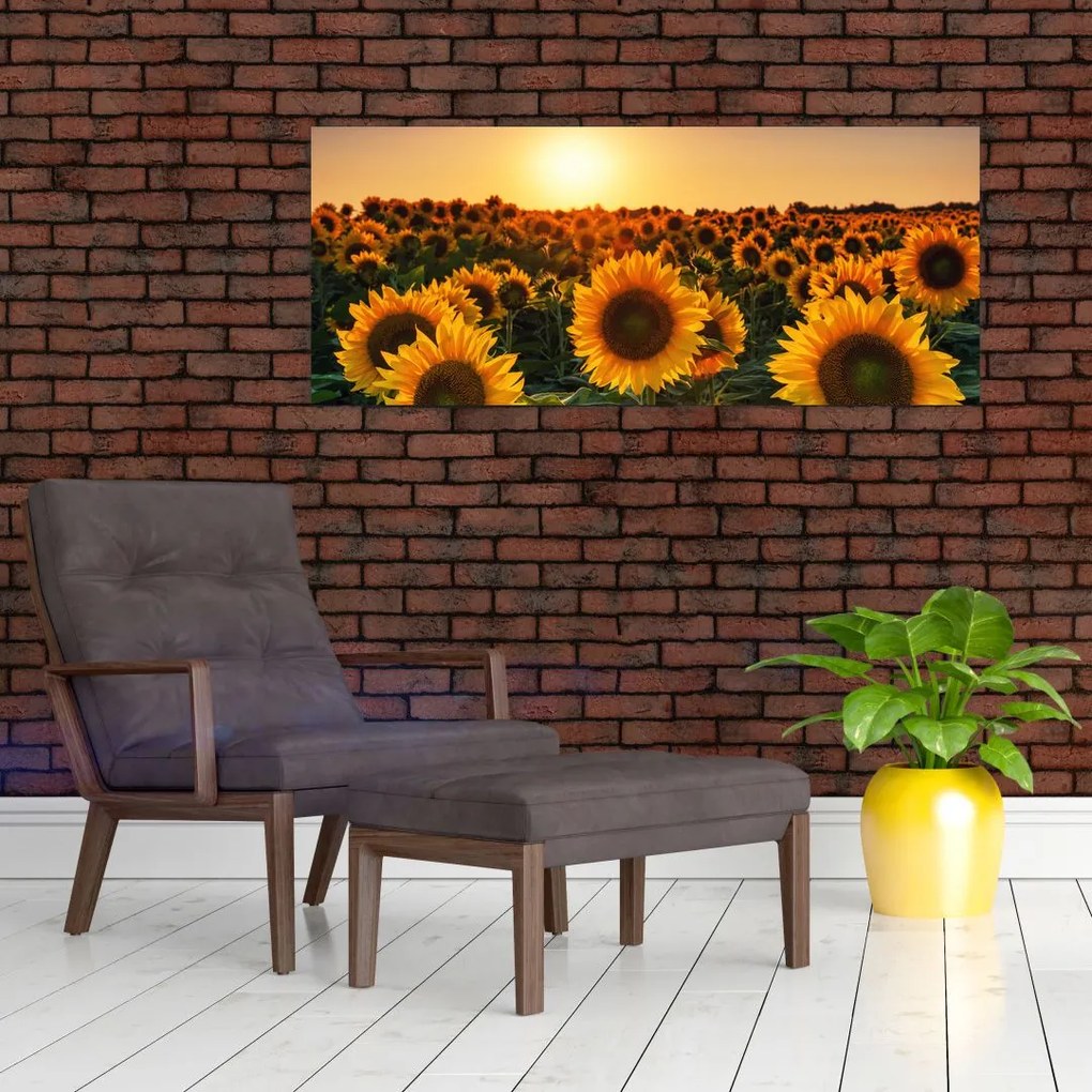 Tablou - Floarea soarelui (120x50 cm)