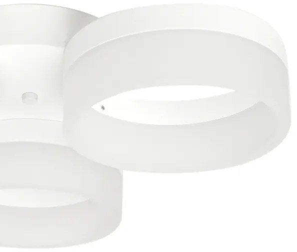 LED Plafonieră RING 3xLED/12W/230V albă