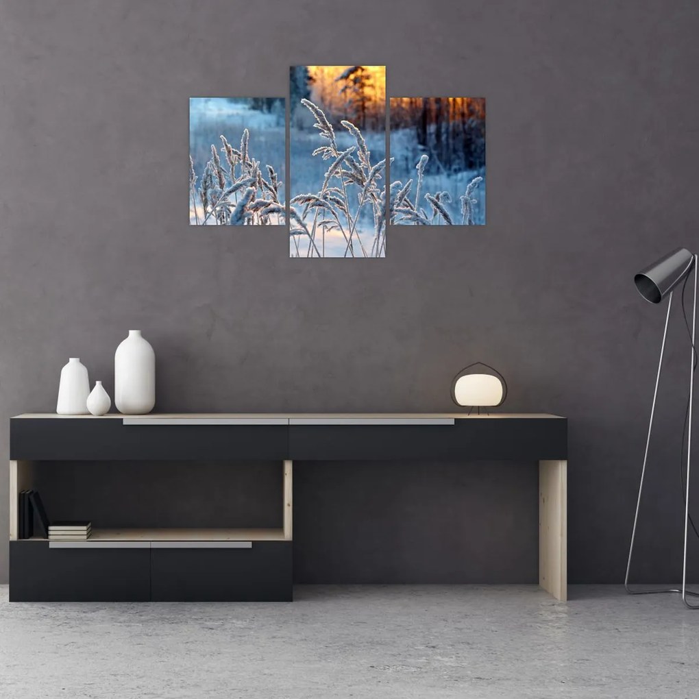 Tablou - Pajiște de iarnă (90x60 cm)