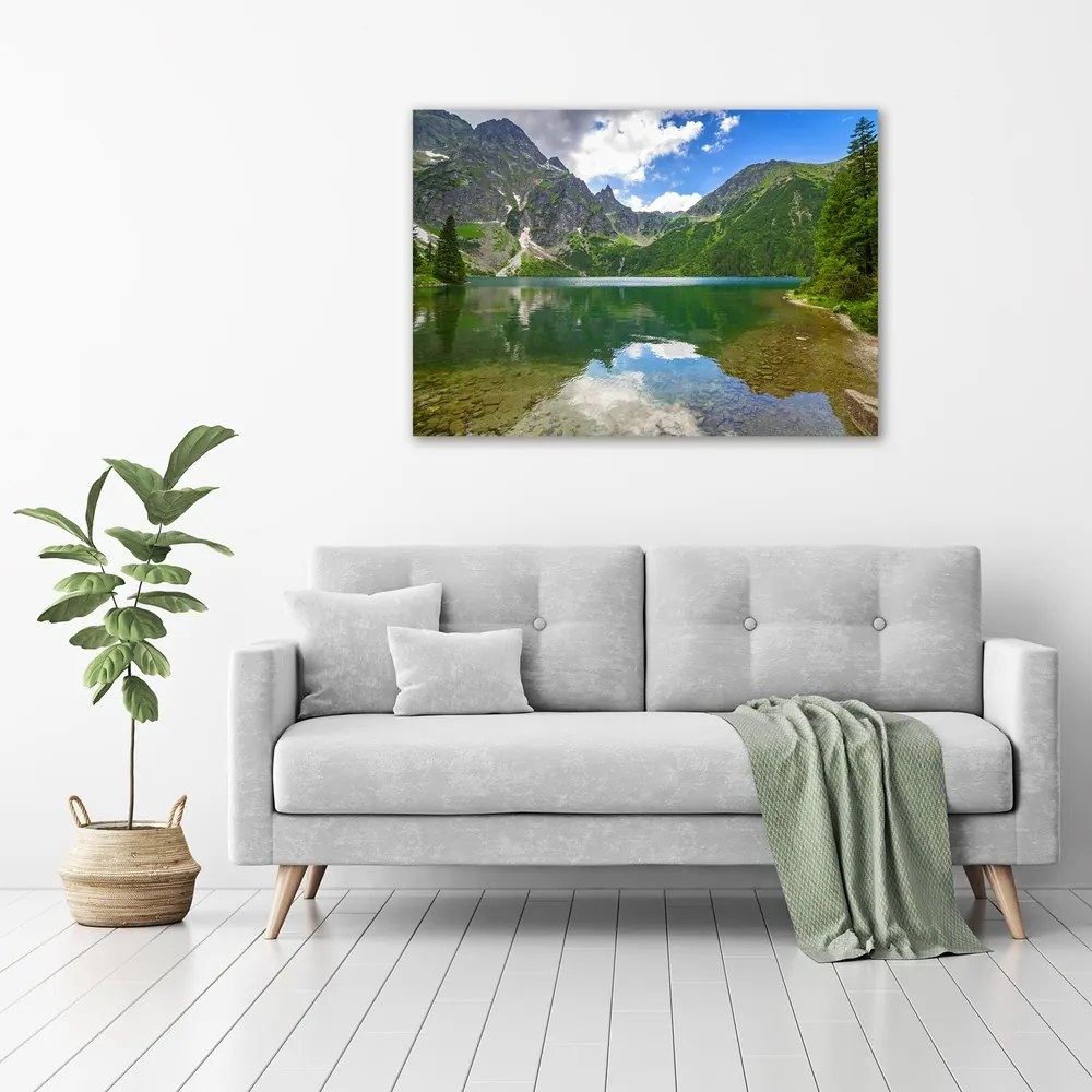 Imprimare tablou canvas Marine ochi tatry