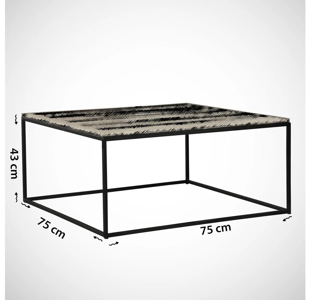 Măsuță de cafea Poline (Negru + Alb) . 1102477